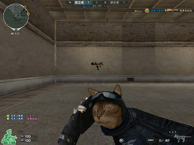 球迷最关心 球迷最关心