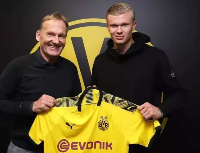 二是布局女 二是布局女